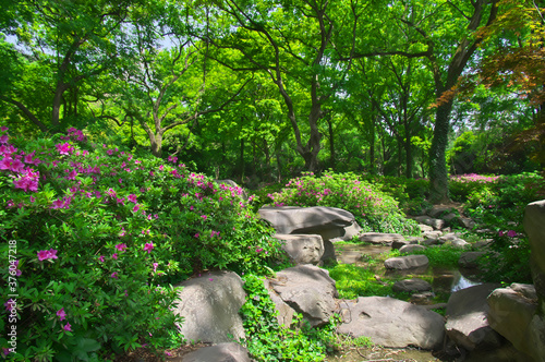 Wuhan East lake Forest Park scenery in spring