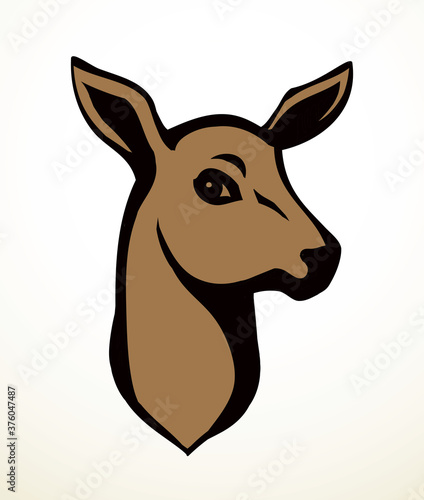 Beautiful noble deer. Vector drawing