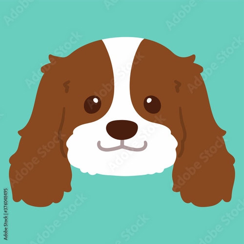 Flat colored Brown Cavalier King Charles Spaniel Head