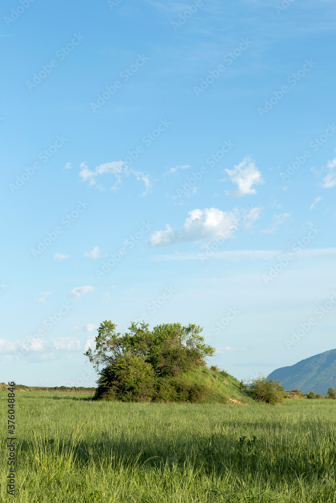 Imagen vertical de paisaje de campo y cielo Imagen vertical de paisaje de campo y cielo