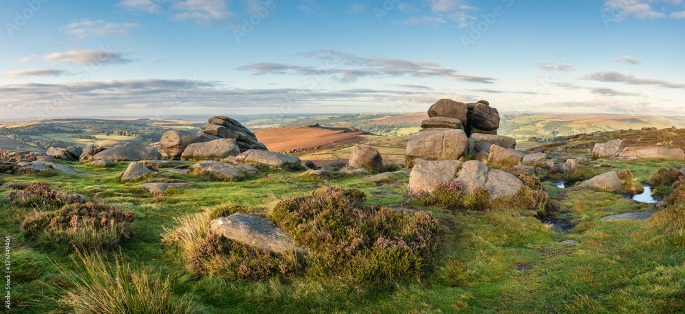 Epic colorful landscape view of late Summer heather in Peak District around Higger Tor at sunrise - obrazy, fototapety, plakaty 