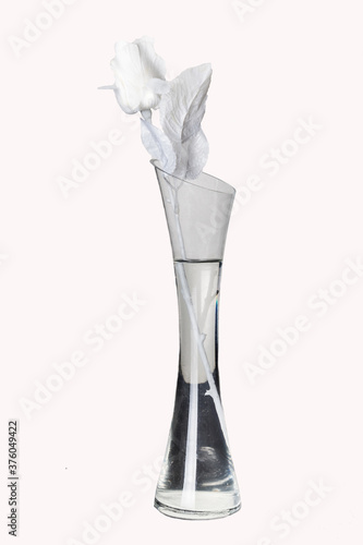 glass with water