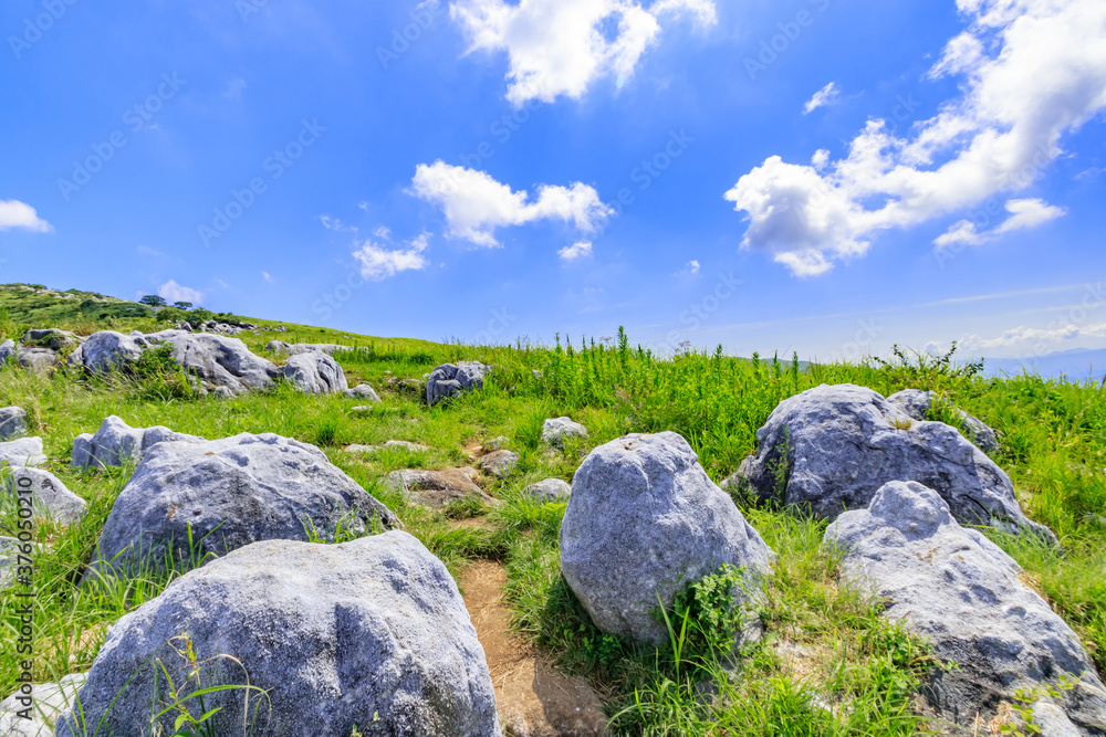 夏の平尾台　福岡県北九州市　Hiraodai in summer Fukuoka-ken Kitakyusyu city