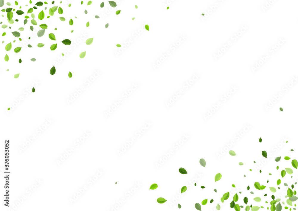 Lime Greens Organic Vector Banner. Realistic Leaf Lime Greens Organic Vector Banner. Realistic Leaf