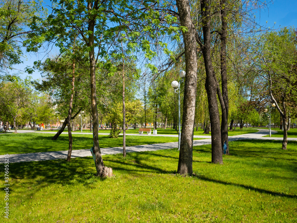 City park at summer time with morning light and long shadows. Parking area with a trees, bench and pathway City park at summer time with morning light and long shadows. Parking area with a trees, bench and pathway