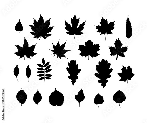 Leaves silhouette set. Vector illustration. Design elements isolated on white background.