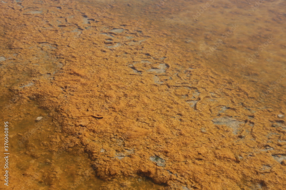Fototapeta premium sicily the beutiful sea anf the nature