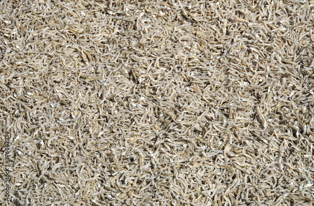 Sun dried ricefish, Crispy fried fish used as a snack or appetizer. Food preservation. Sun dried ricefish, Crispy fried fish used as a snack or appetizer. Food preservation.