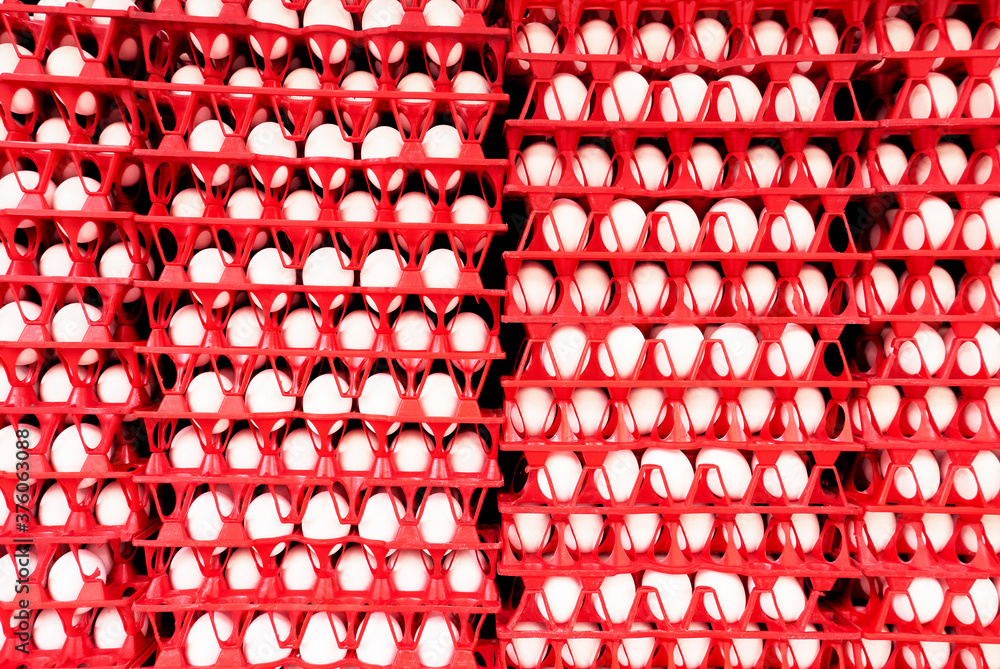Close-up isolated view of many red colored plastic trays with white chicken eggs delivered to a store, seen in the Philippines, Asia