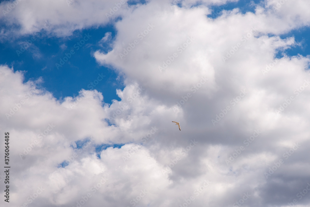 Cielo azul con nubes