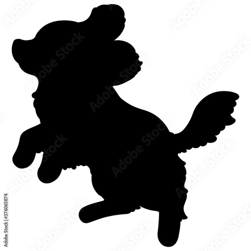 Silhouette of Cavalier King Charles Spaniel jumping