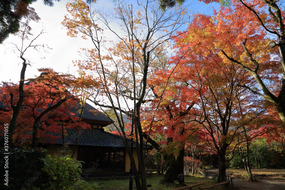Autumn in YUFUIN