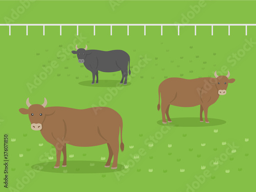 牧場にいる牛のイラスト