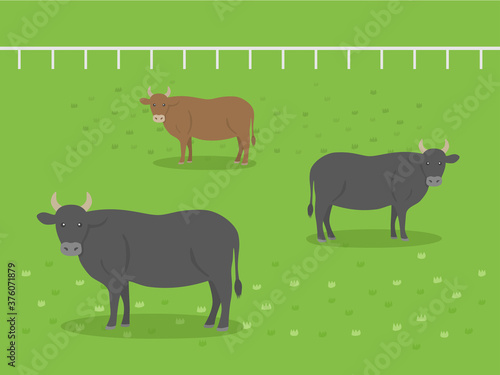 牧場にいる牛のイラスト