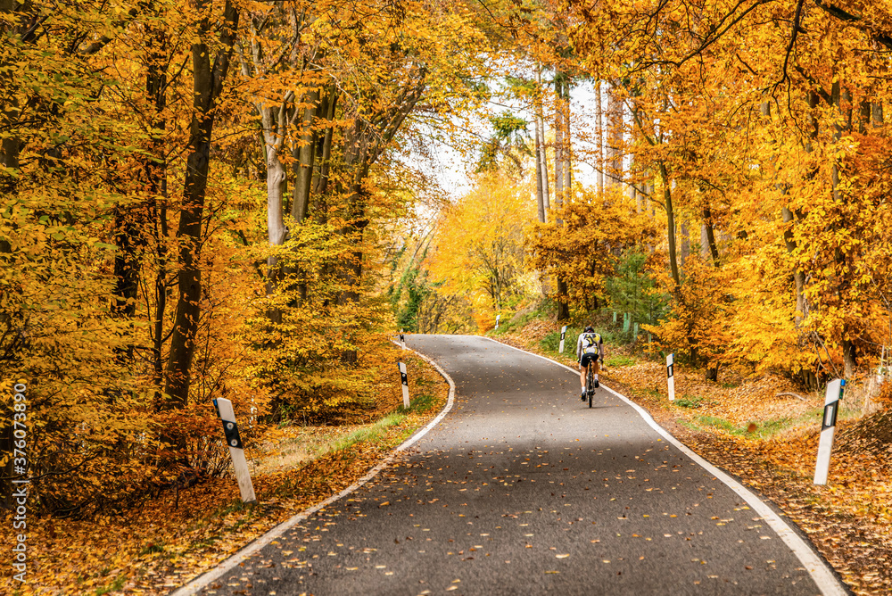 Naklejka premium cyclist biker on a winding road with loose fall leaves through autumn trees in germany rhineland palantino