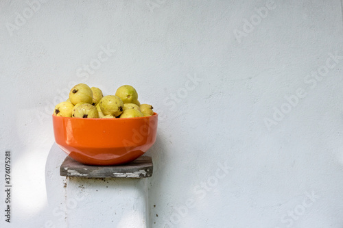 Yellow fruit from the field. Guava in natural environment  photo