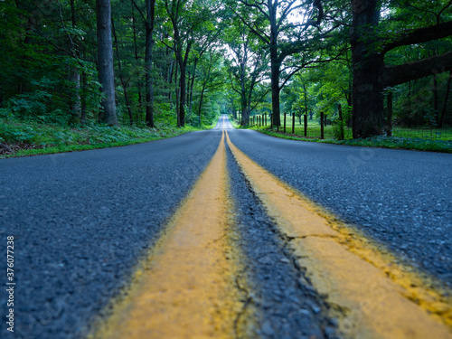 Virginian country road.