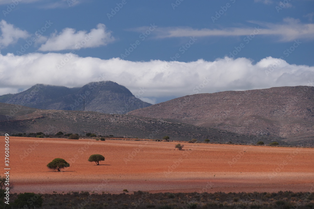 Kleine Karoo mit den Outeniquabergen im Hintergrund. Westkap, Südafrika.