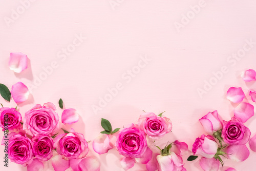 Pink roses