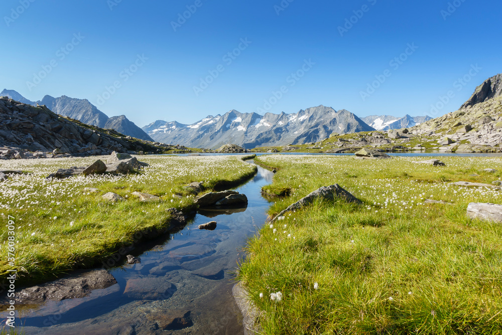 See in den Bergen mit Wollgras und Gebirge mit Gletscher im Hintergrund in Tirol