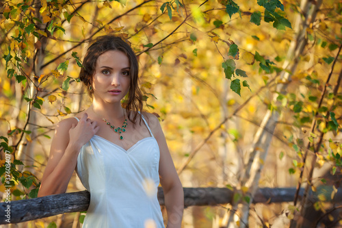 Фотография mellow autumn