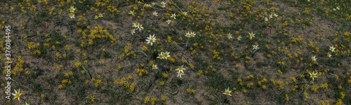 Allphotokz Taldykorgan Way 20090330 0224 5DM2 PS