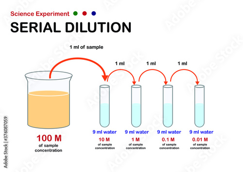 Scientific experiment diagram show concept of serial dilution for decrease concentration of sample solution photo