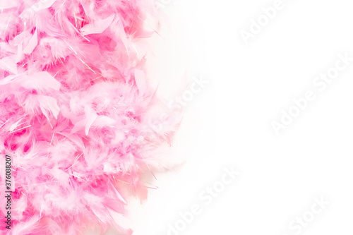 Pink feathers