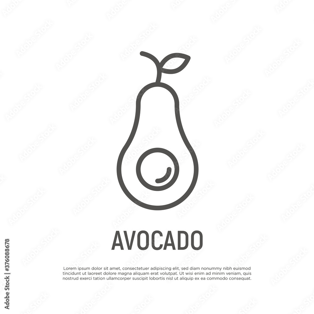 Avocado thin line icon. Healthy organic food. Vector illustration.