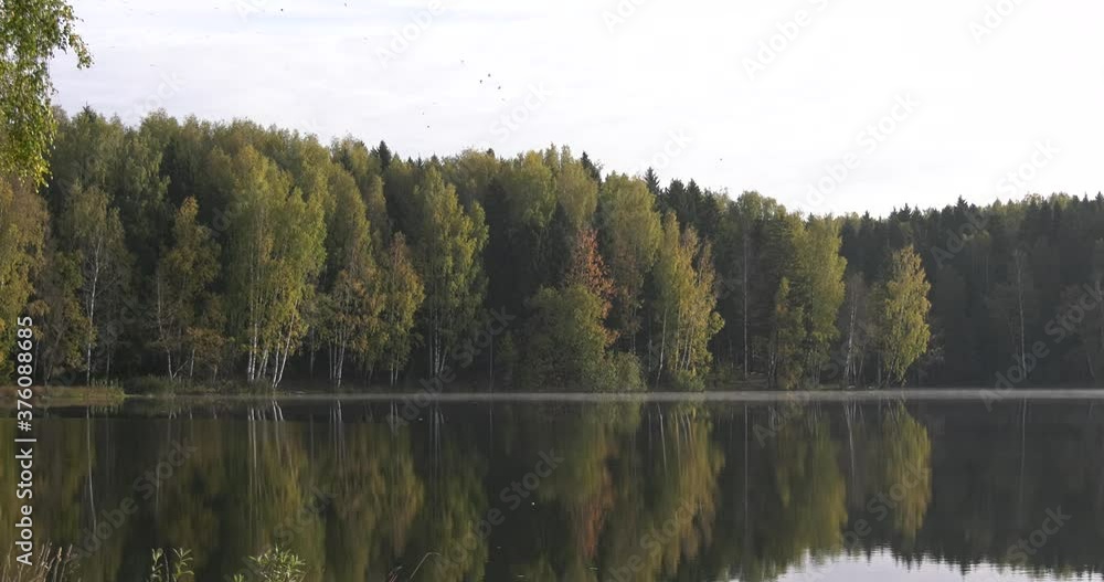 4K summer early morning summer sunrise quality video footage of pristine lush green pine tree forest surrounded lake, calm waters reflecting clouds, a dam, island, sand beach at small town in Russia 4K summer early morning summer sunrise quality video footage of pristine lush green pine tree forest surrounded lake, calm waters reflecting clouds, a dam, island, sand beach at small town in Russia