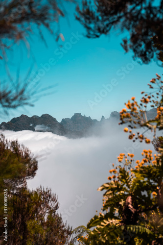 Berglandschaft - Madeira