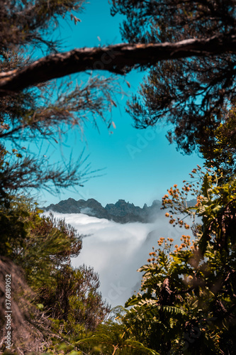 Berglandschaft - Madeira