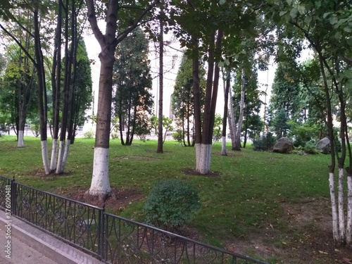 garden