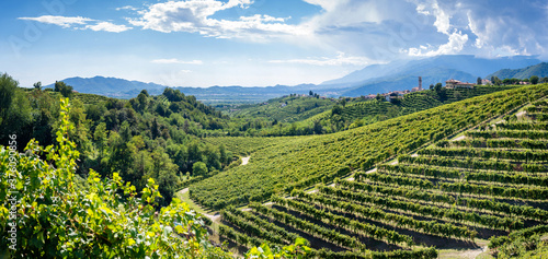 Valdobbiadene Treviso, Italy: hills and vineyards photo