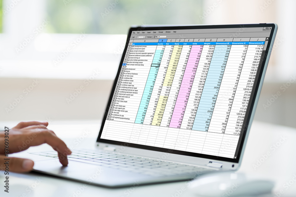Computer Spreadsheet. Analyst Employee Working Computer Spreadsheet. Analyst Employee Working