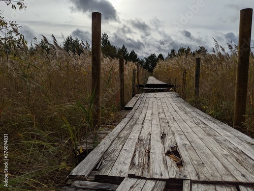 Wooden path through the field