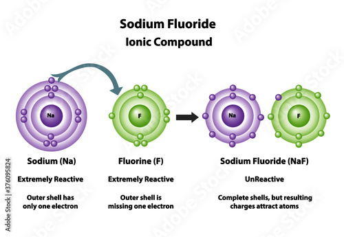 Ionic compounds formed showing how atoms bond. Sodium and Fluorine molecular elements bond to create sodium fluoride. photo