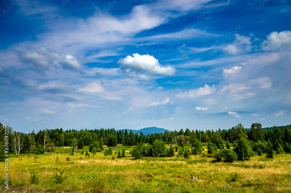 Typical landscape „Sumava“ National Park in Czech Republic