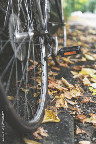 Urban bicycle in autumn