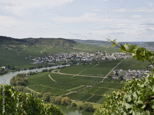 Leiwen an der Mosel photo