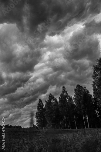  menacing and impressive storm clouds over the green, wild forest