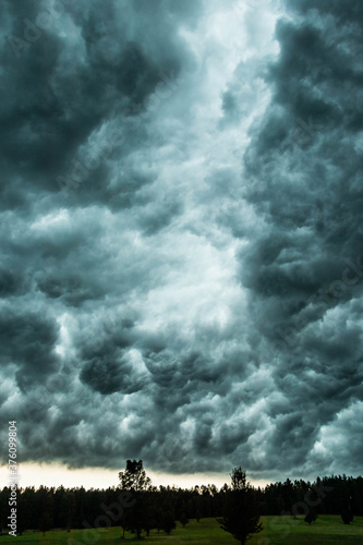 
menacing and impressive storm clouds over the green, wild forest