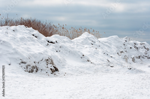 Snow covered sand dunes with sea grass.