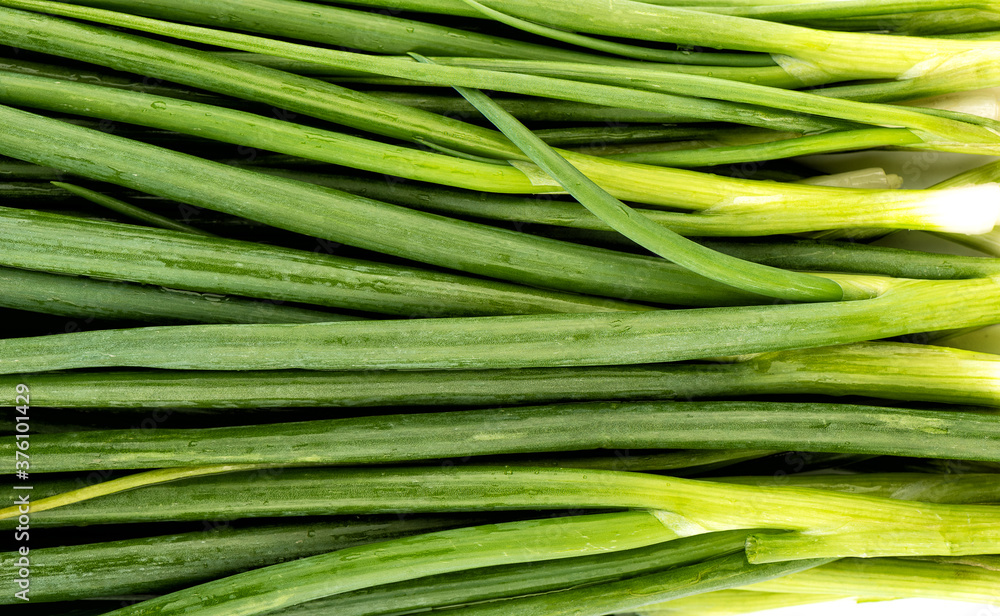 Fresh green onions as a background. View from above. Fresh green onions as a background. View from above.