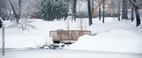 Wallpaper Mural Walking bridge in a park with a frozen lake in the foreground. Torontodigital.ca