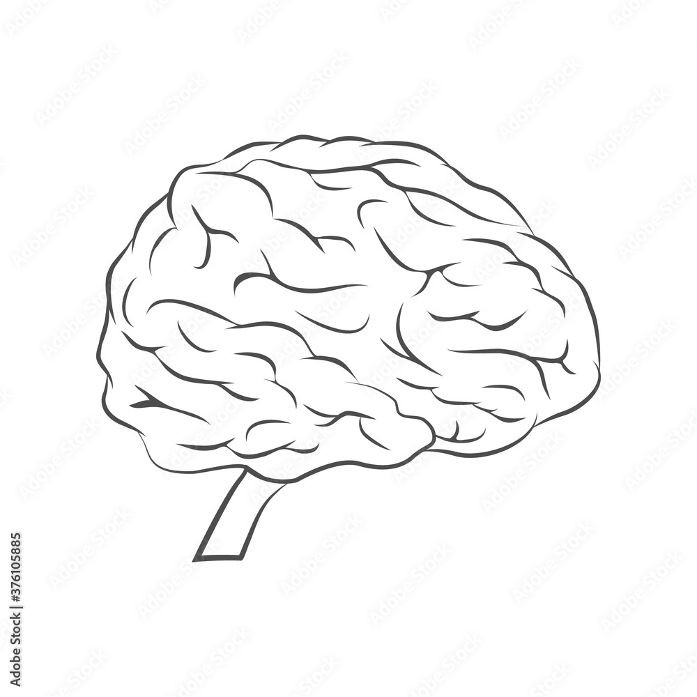 Human brain line icon. Internal human organ in flat style vector illustration isolated on white. Human brain line icon. Internal human organ in flat style vector illustration isolated on white.