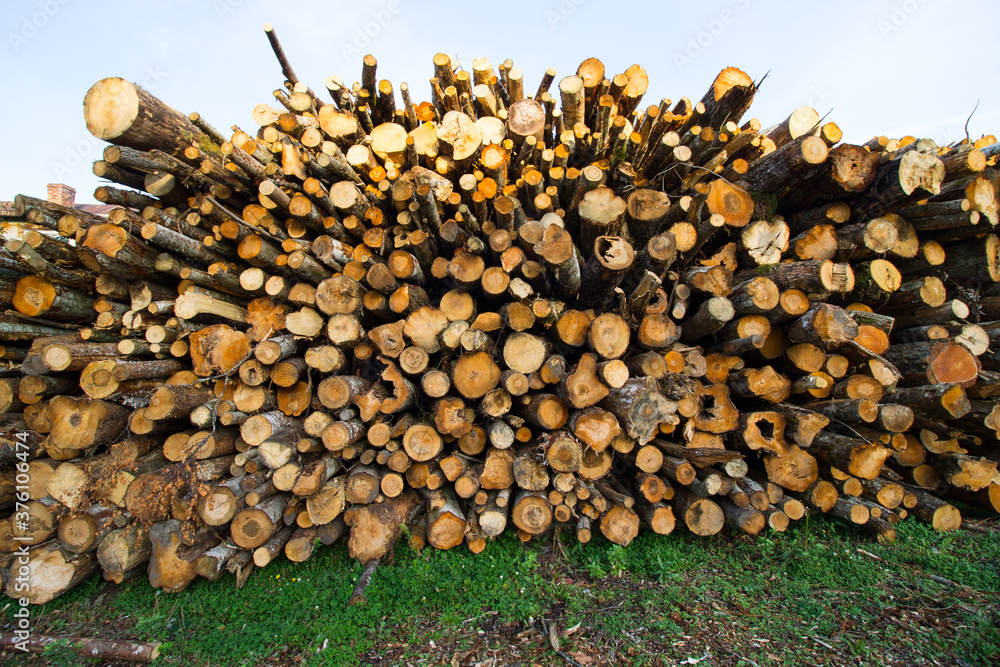 Firewood stacked in a big pile