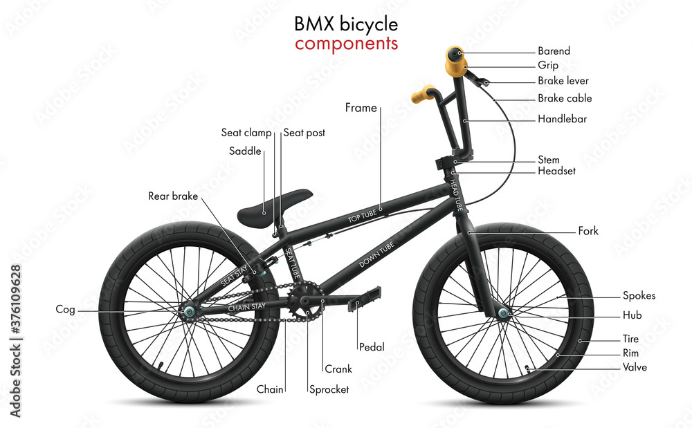 Components of a bicycle BMX and its labeled diagram Stock Vector