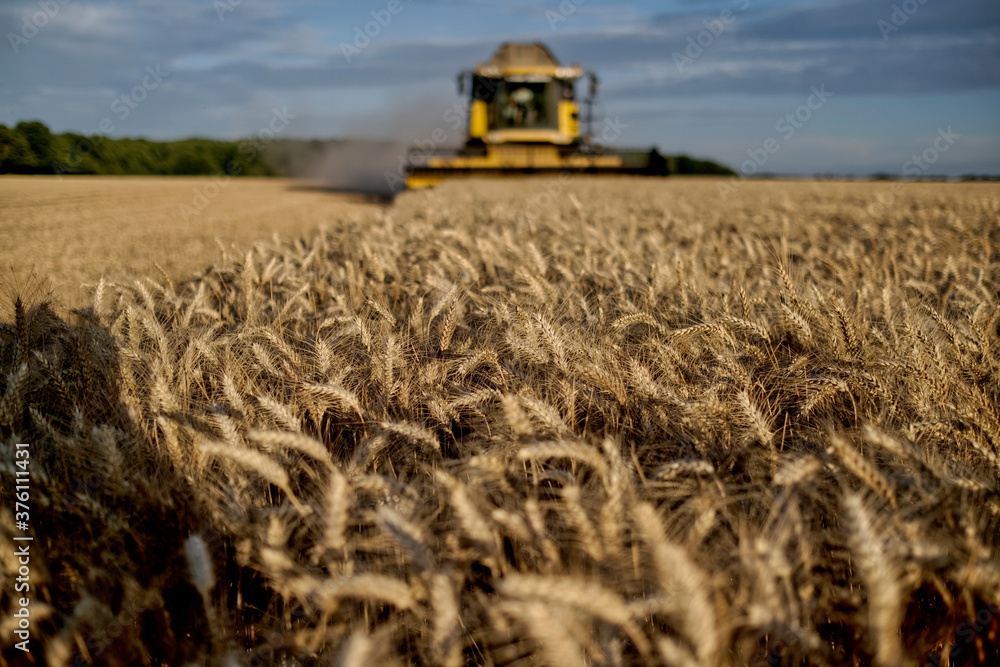 Naklejka premium moissonneuse