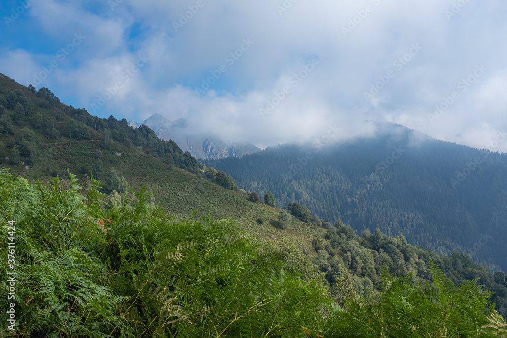 Naklejka premium Monte Zeda